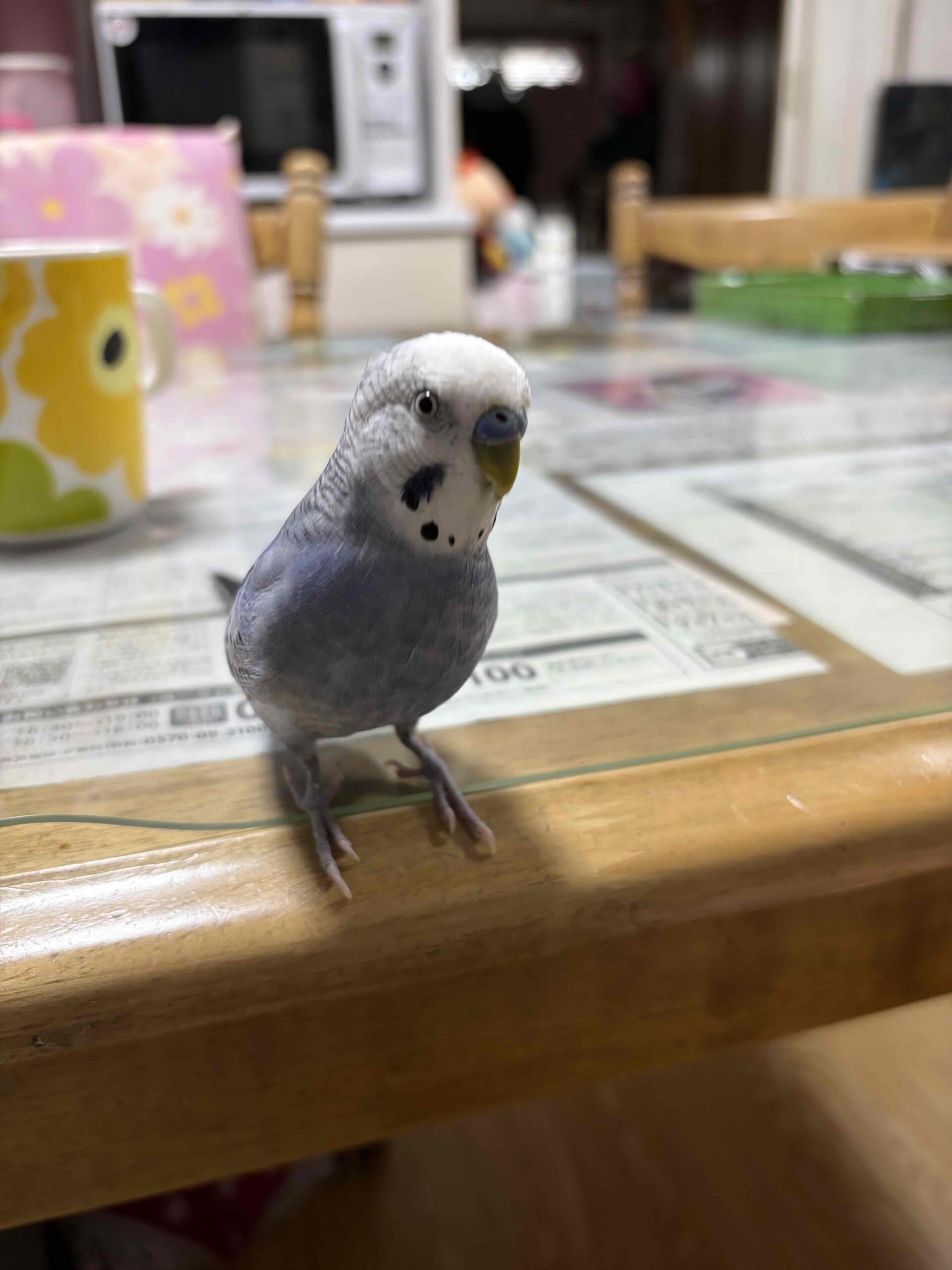 そら