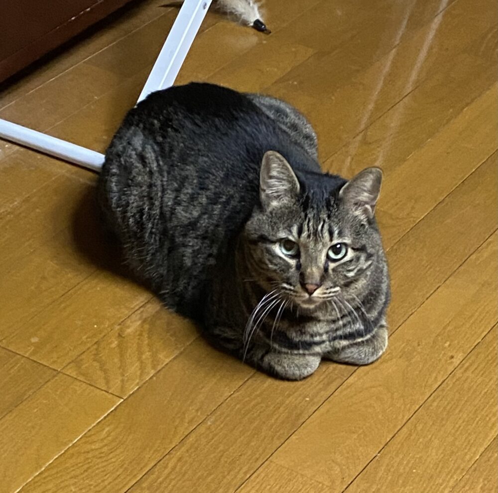 あお