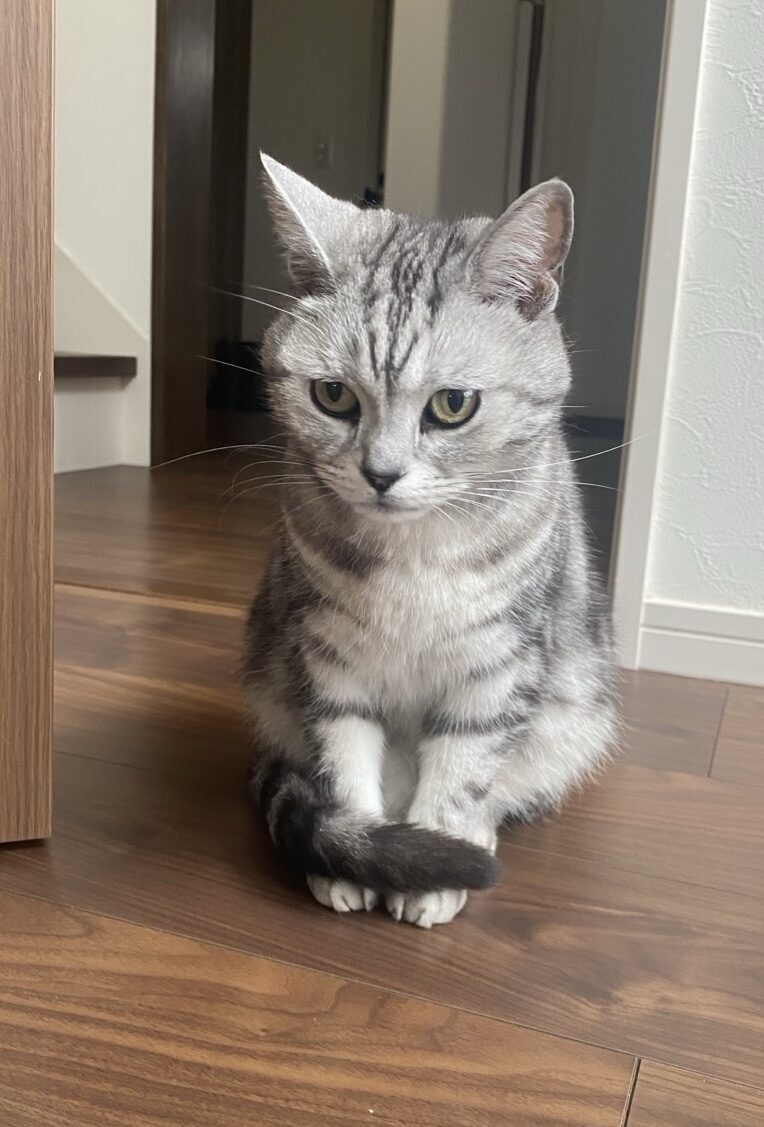 さむ