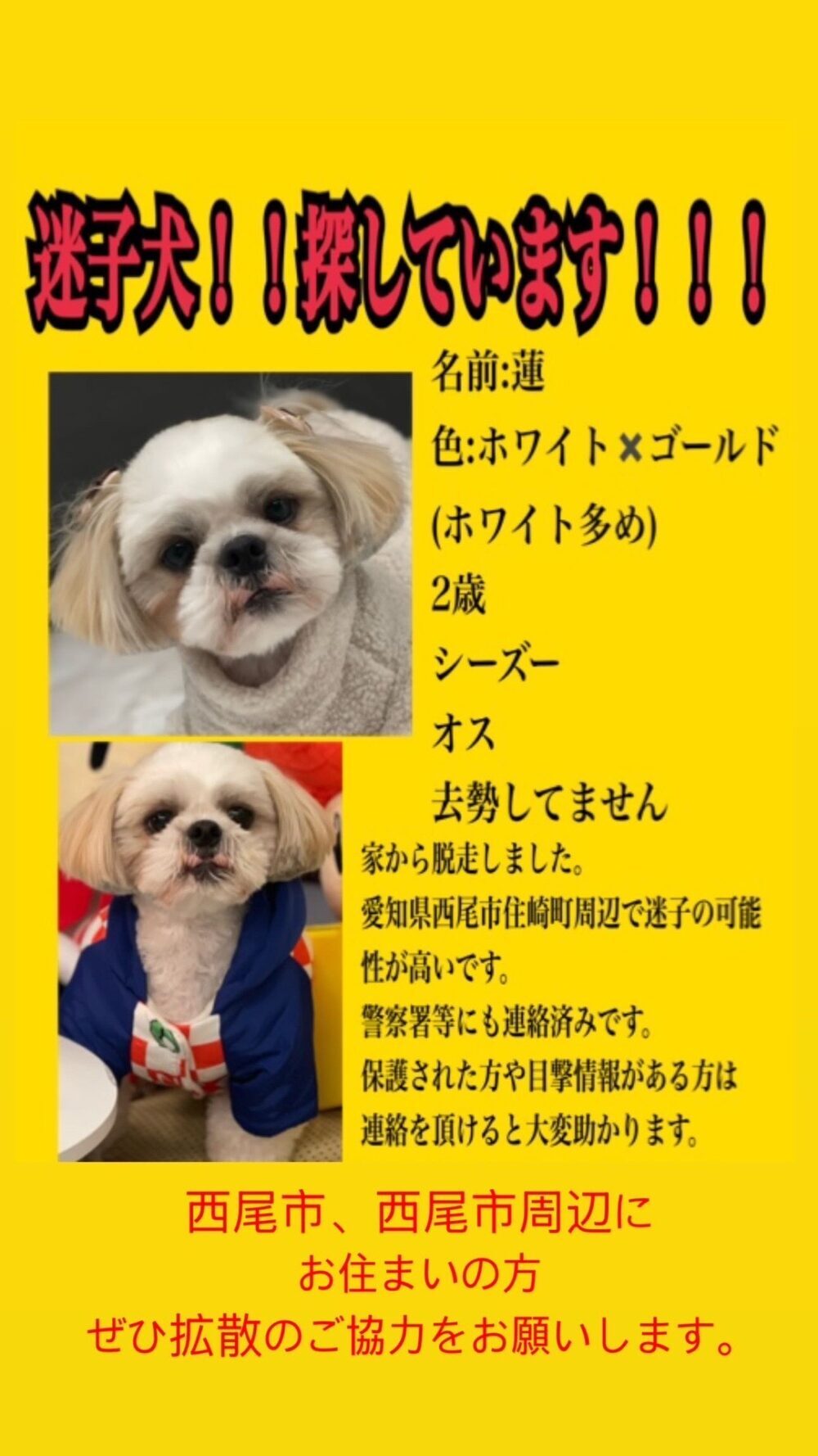 さとう