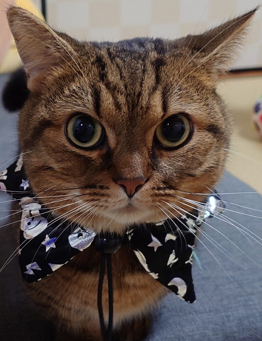 アズ