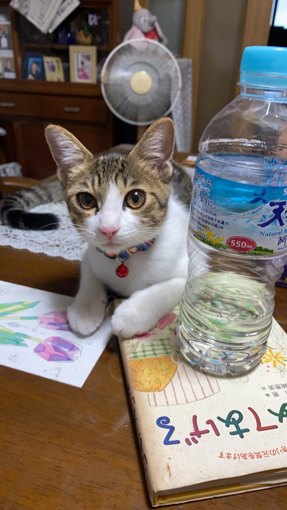 ふーた