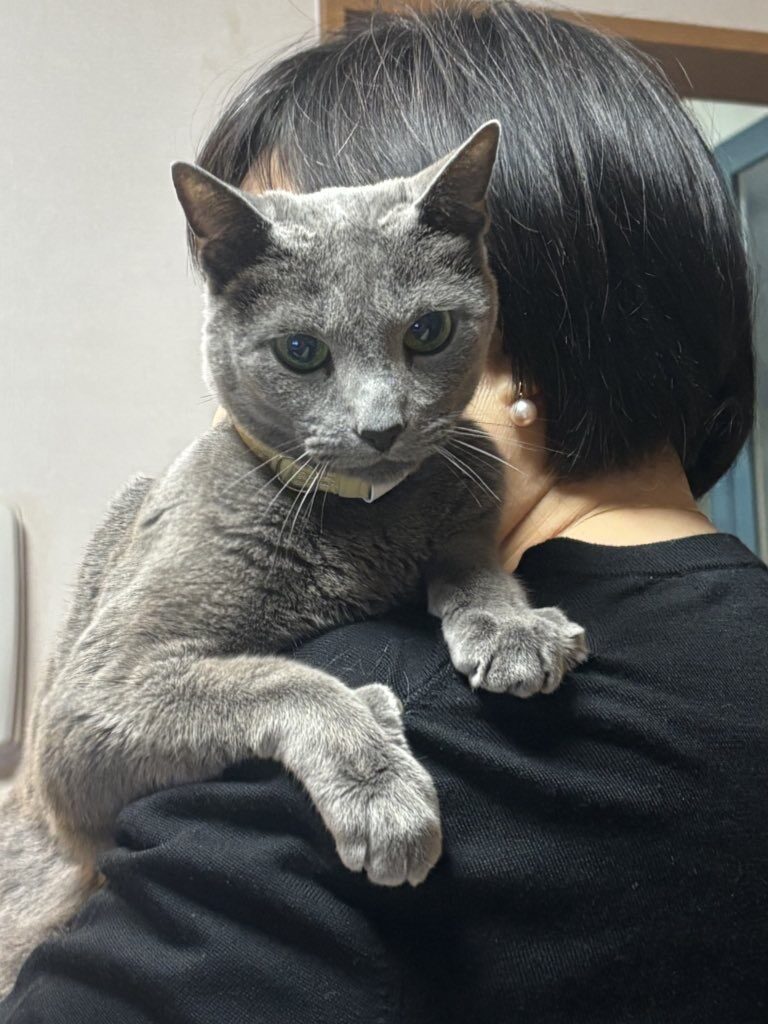 ねね