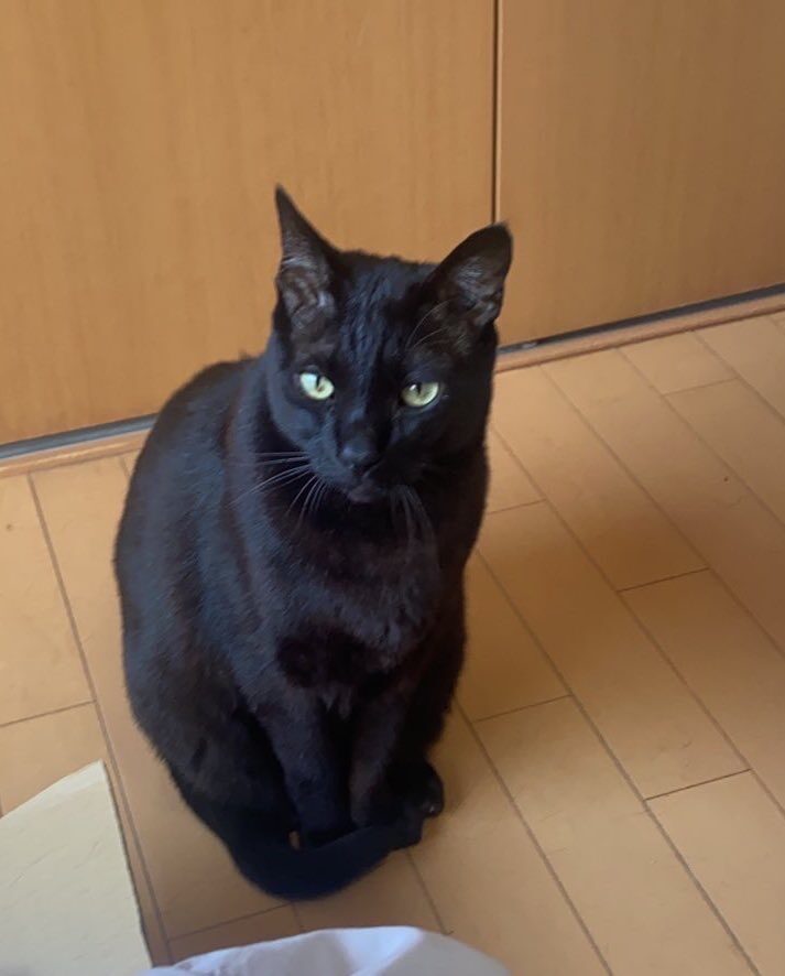 まむ