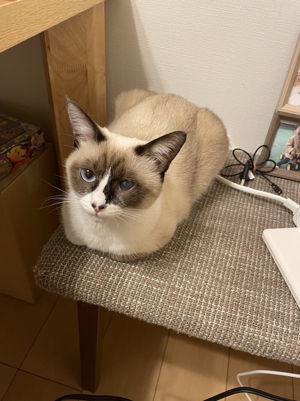まる