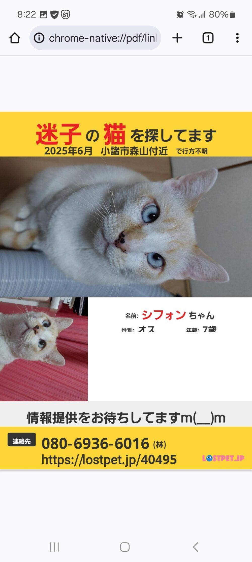 林