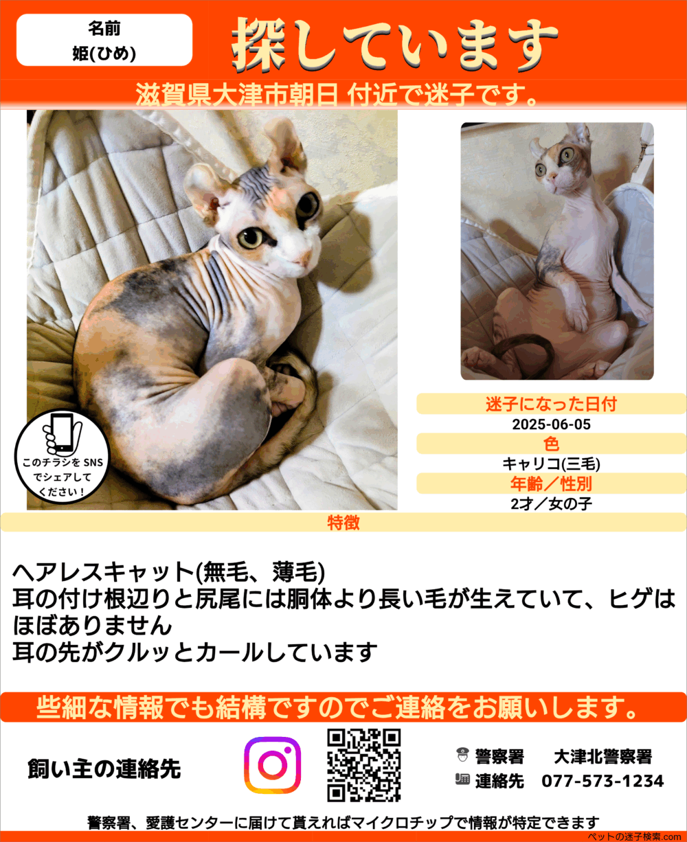 おかっち