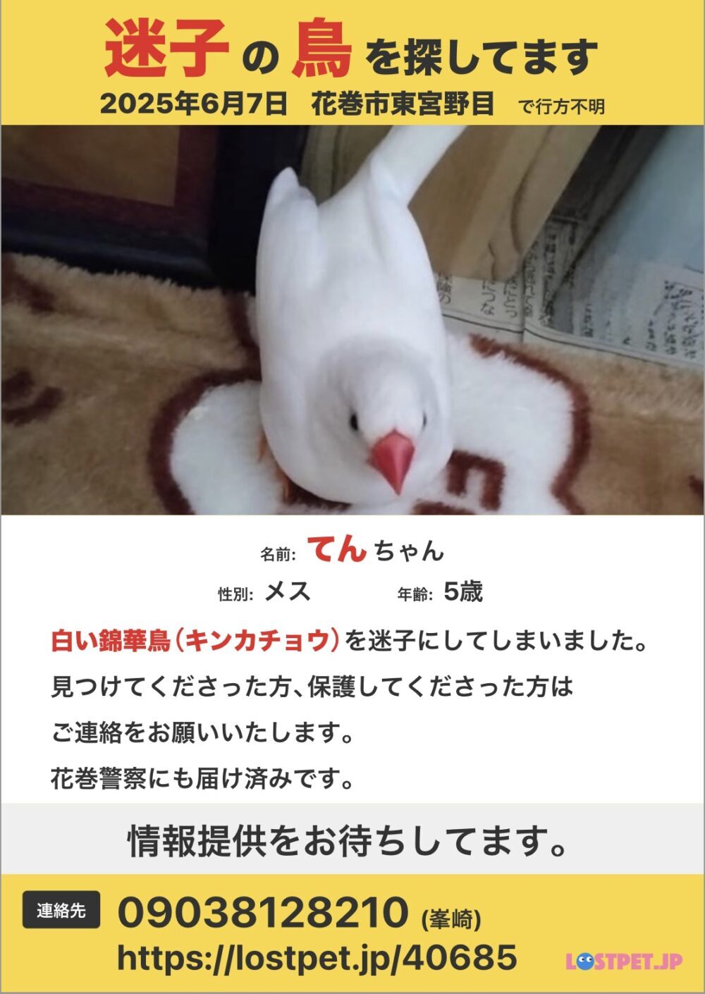 てんちゃんの飼い主
