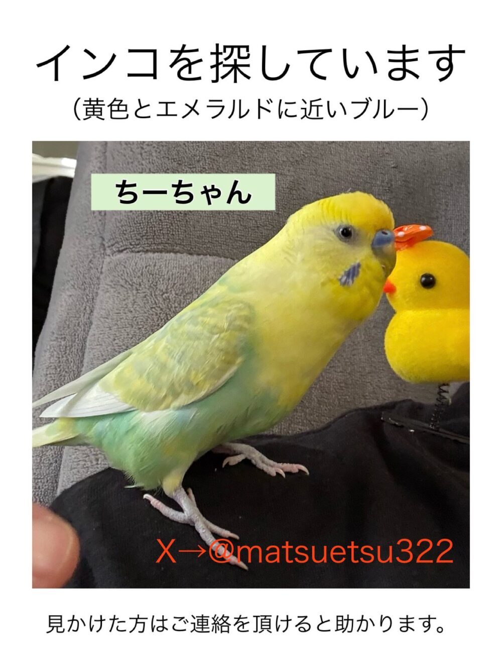 まつえつ