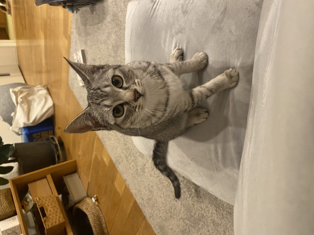 ちーまる