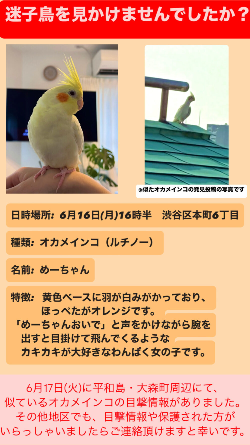 うち