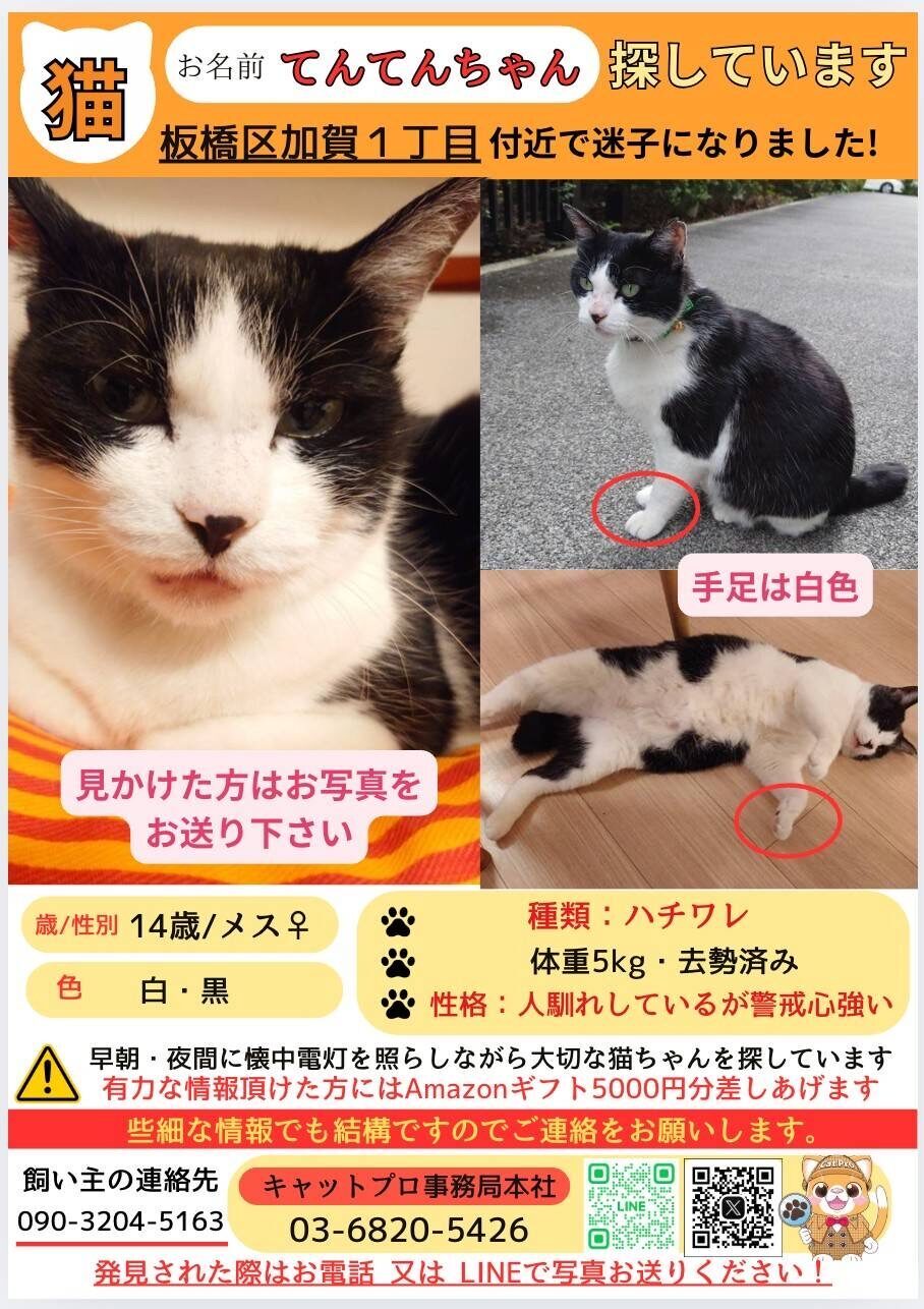 テンテン