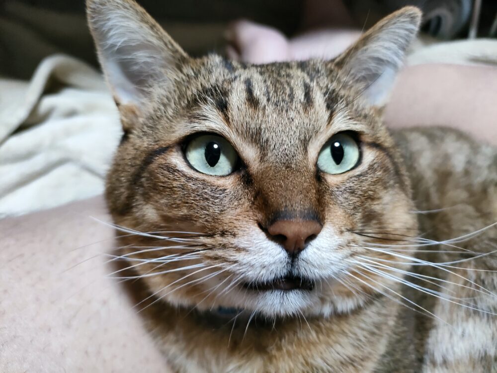 ゆの