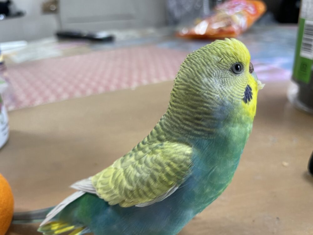 ねりわさび
