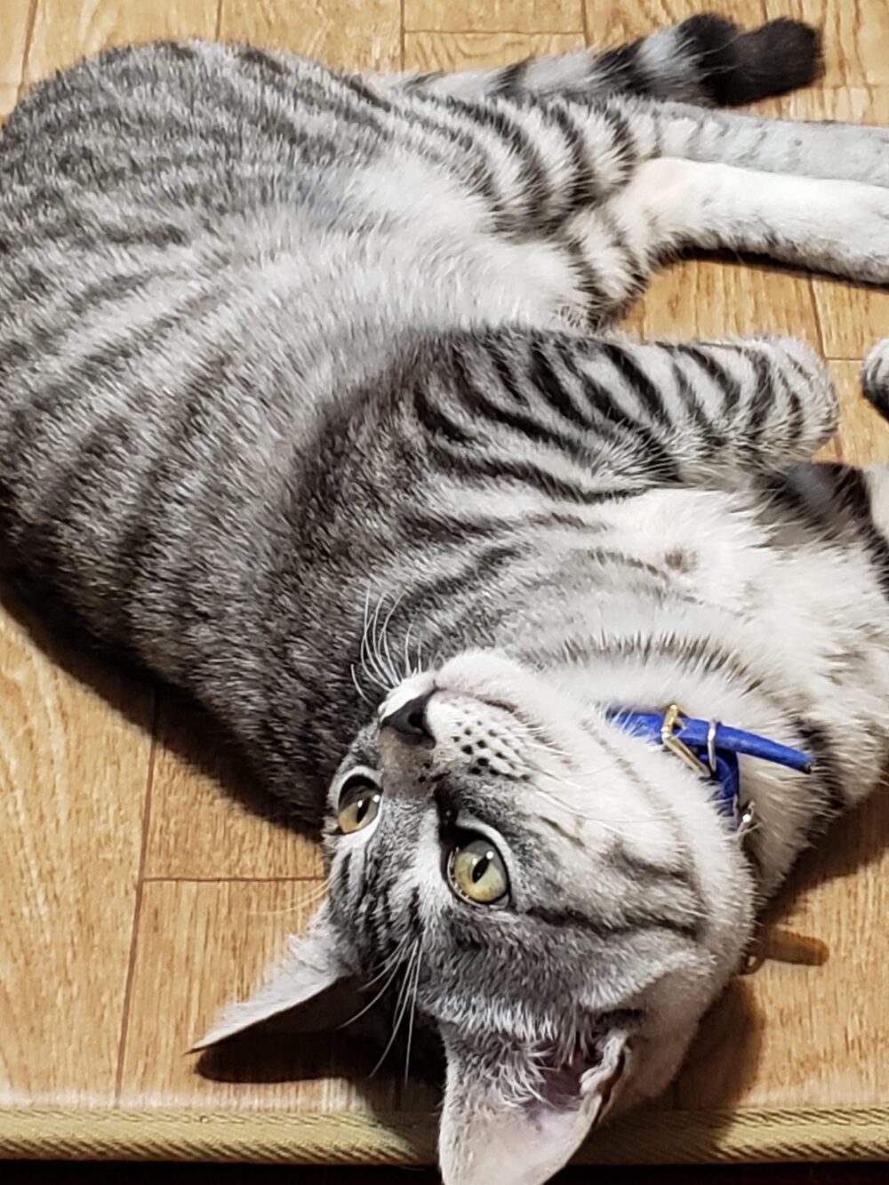 あん