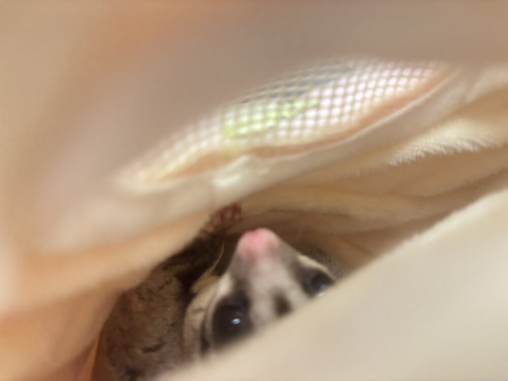 りん