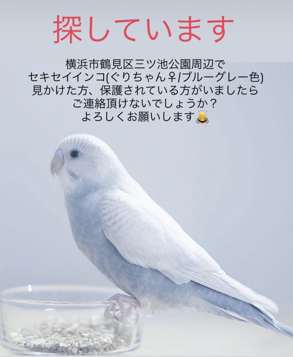 まさ