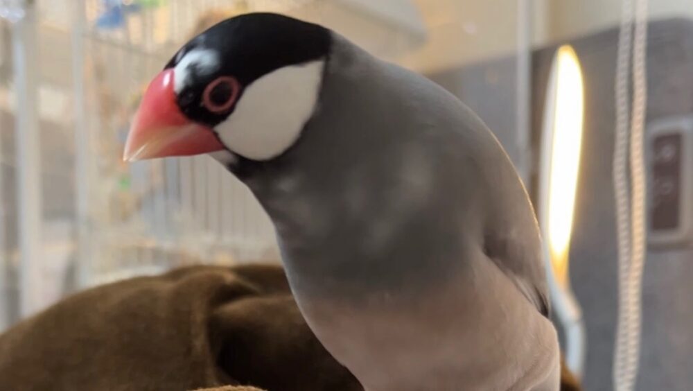 ゆう