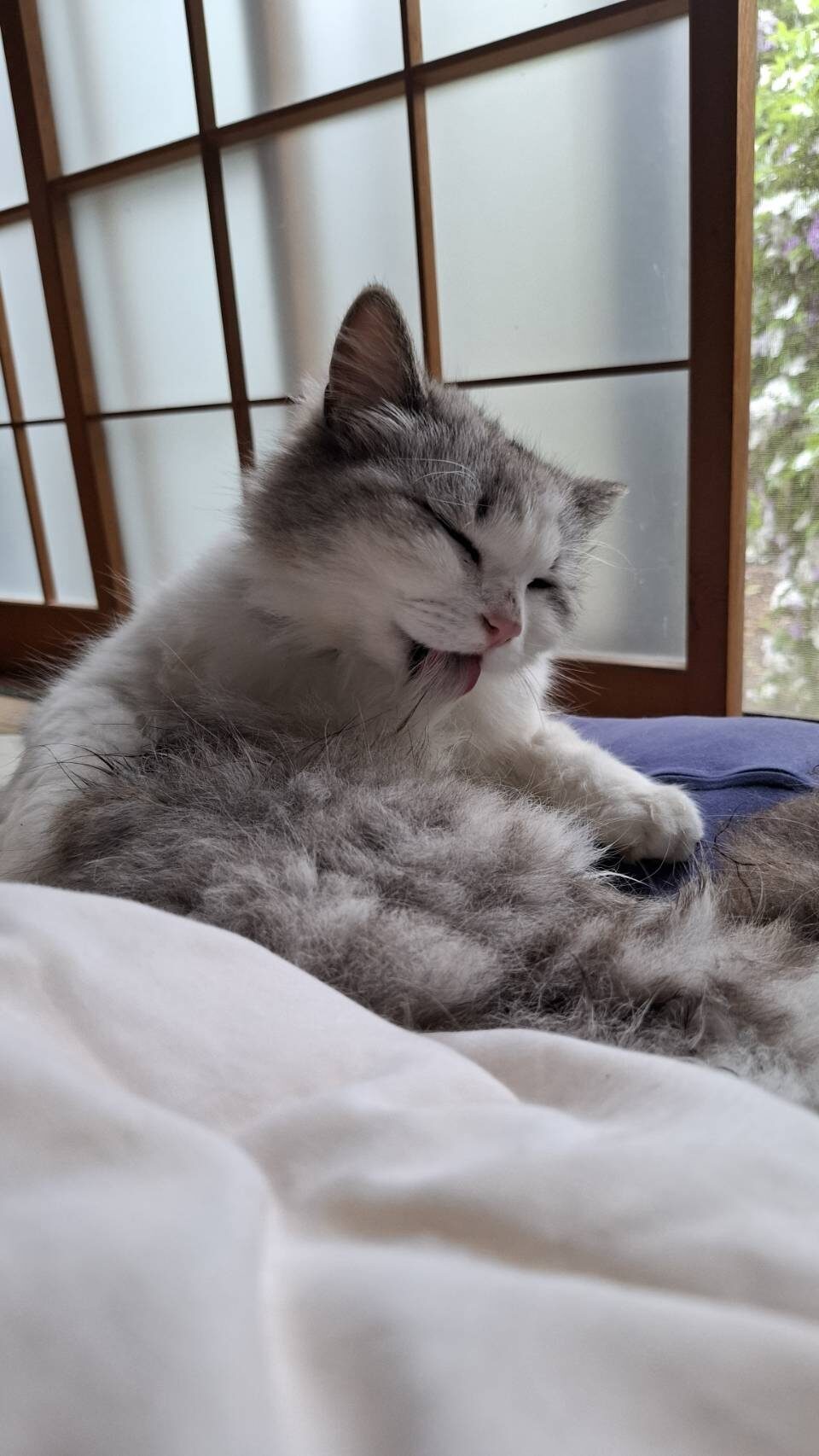 ちゃきら