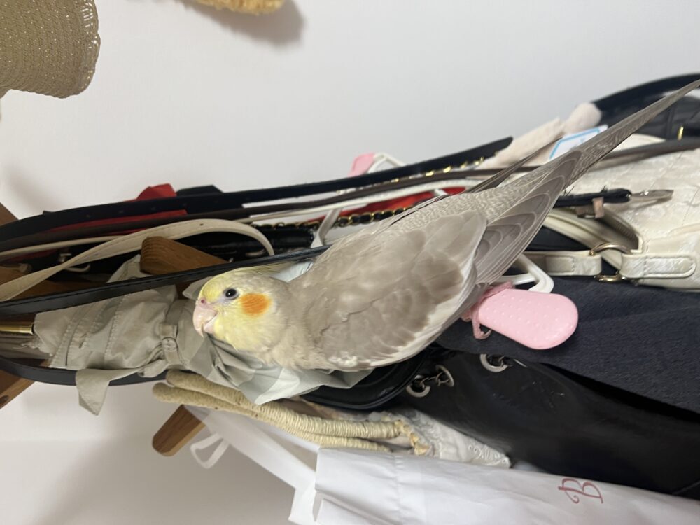みき