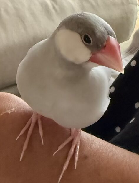 ソラ色