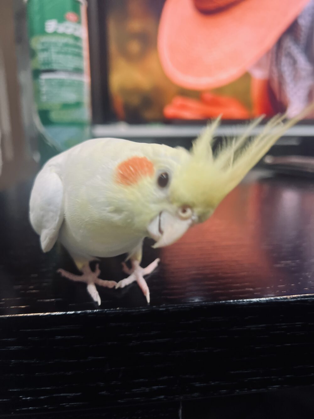 シゲ