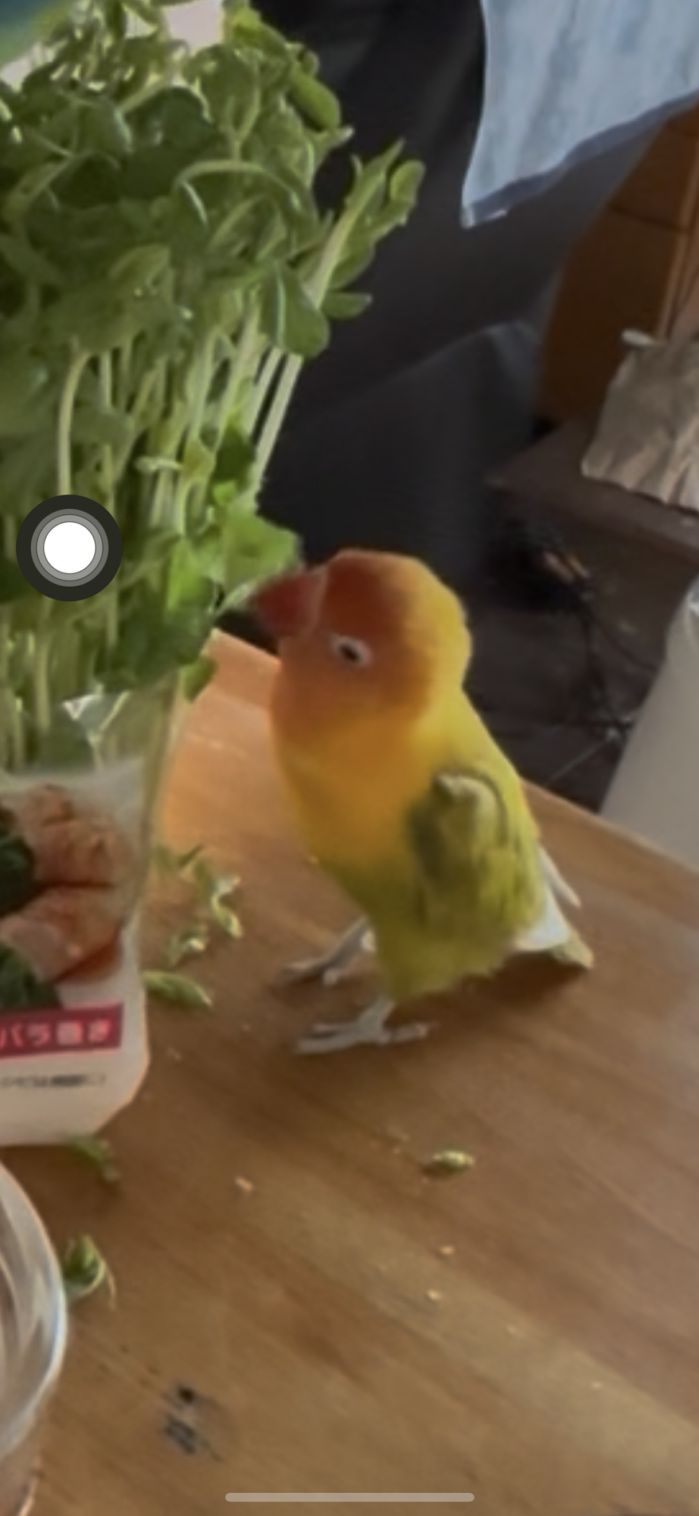 みりんもんじゃ