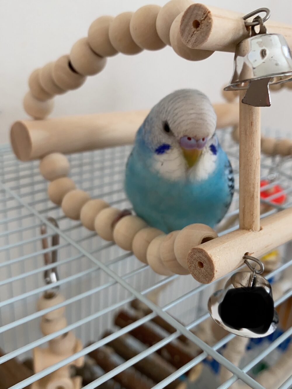 うみ