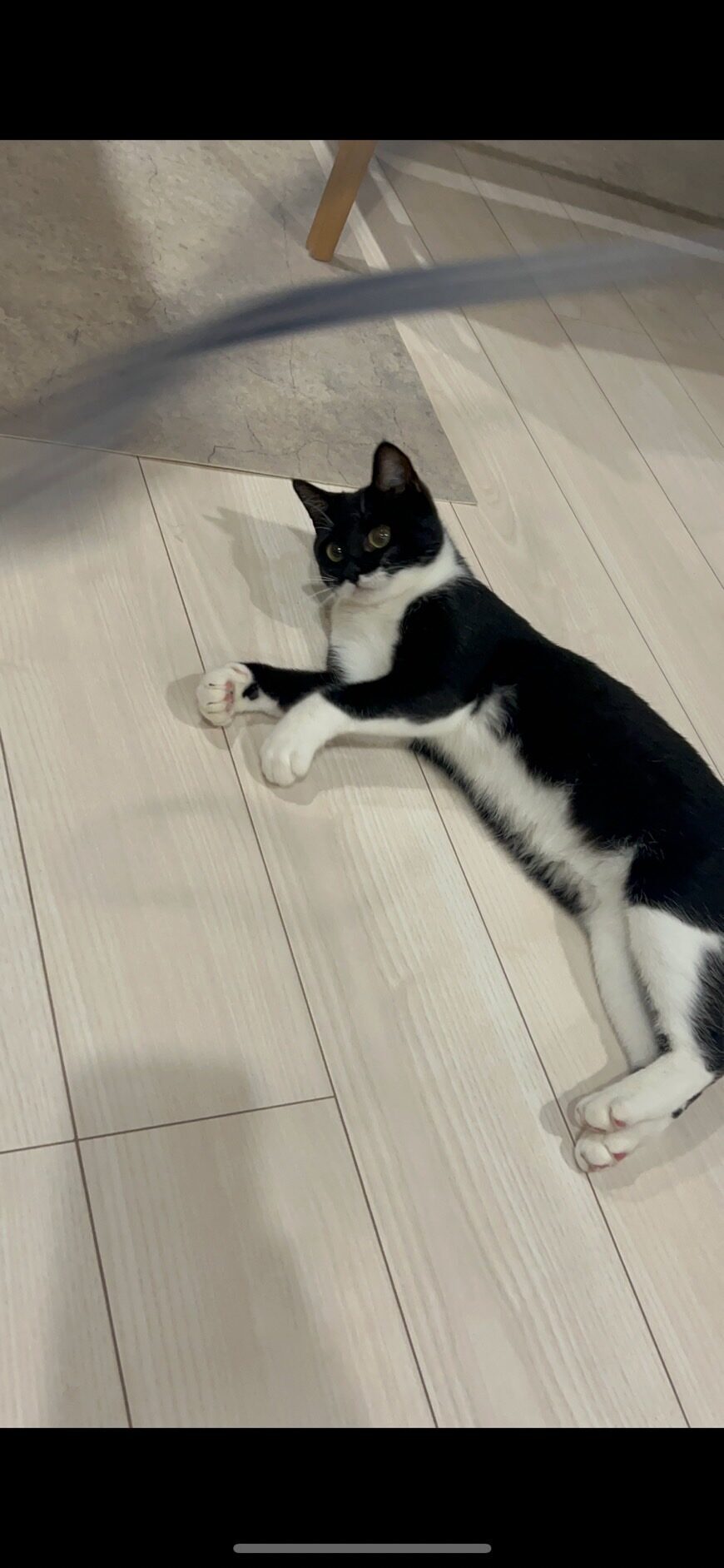おにぎり