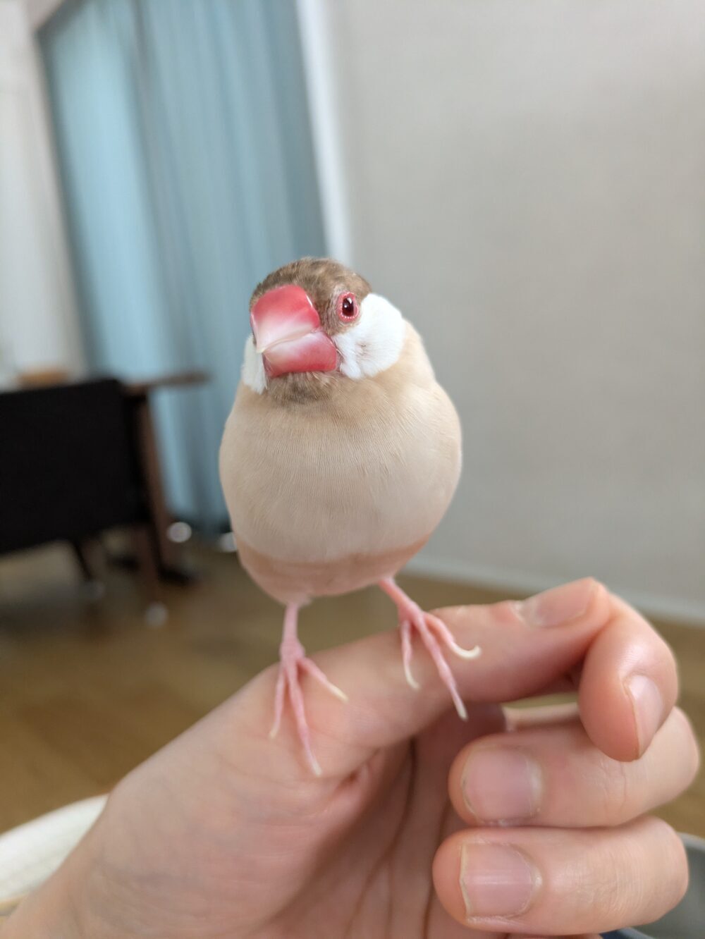 りょう