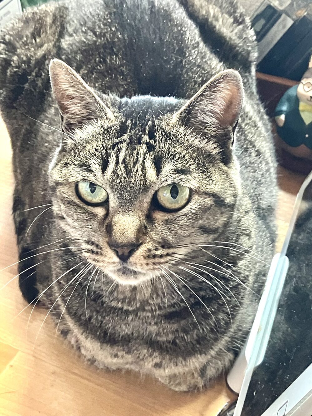 あつこ