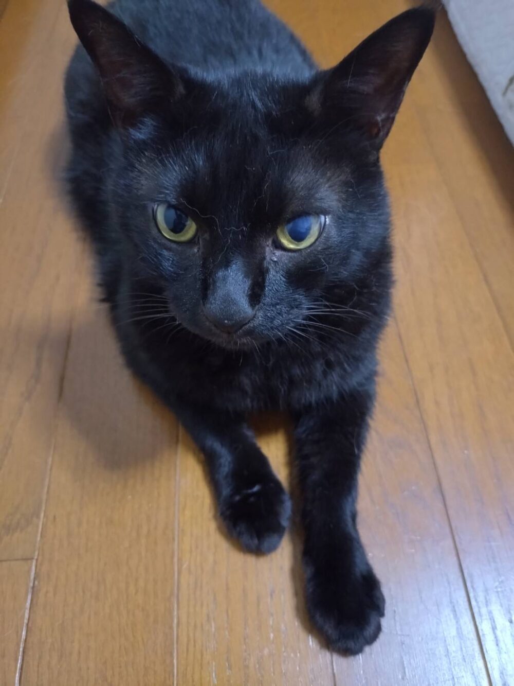 ちい