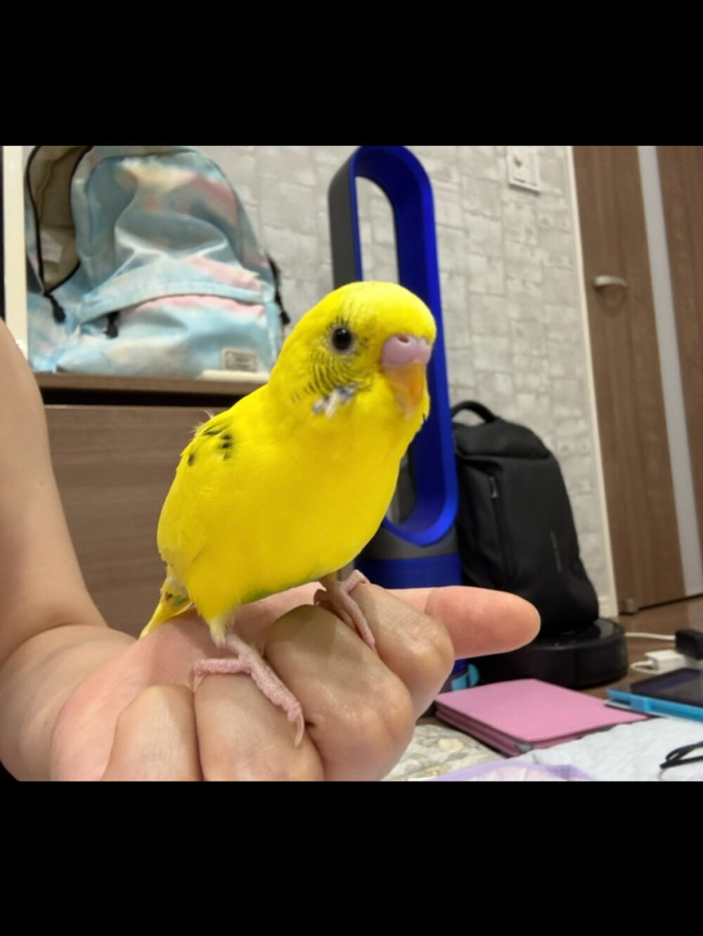 なー
