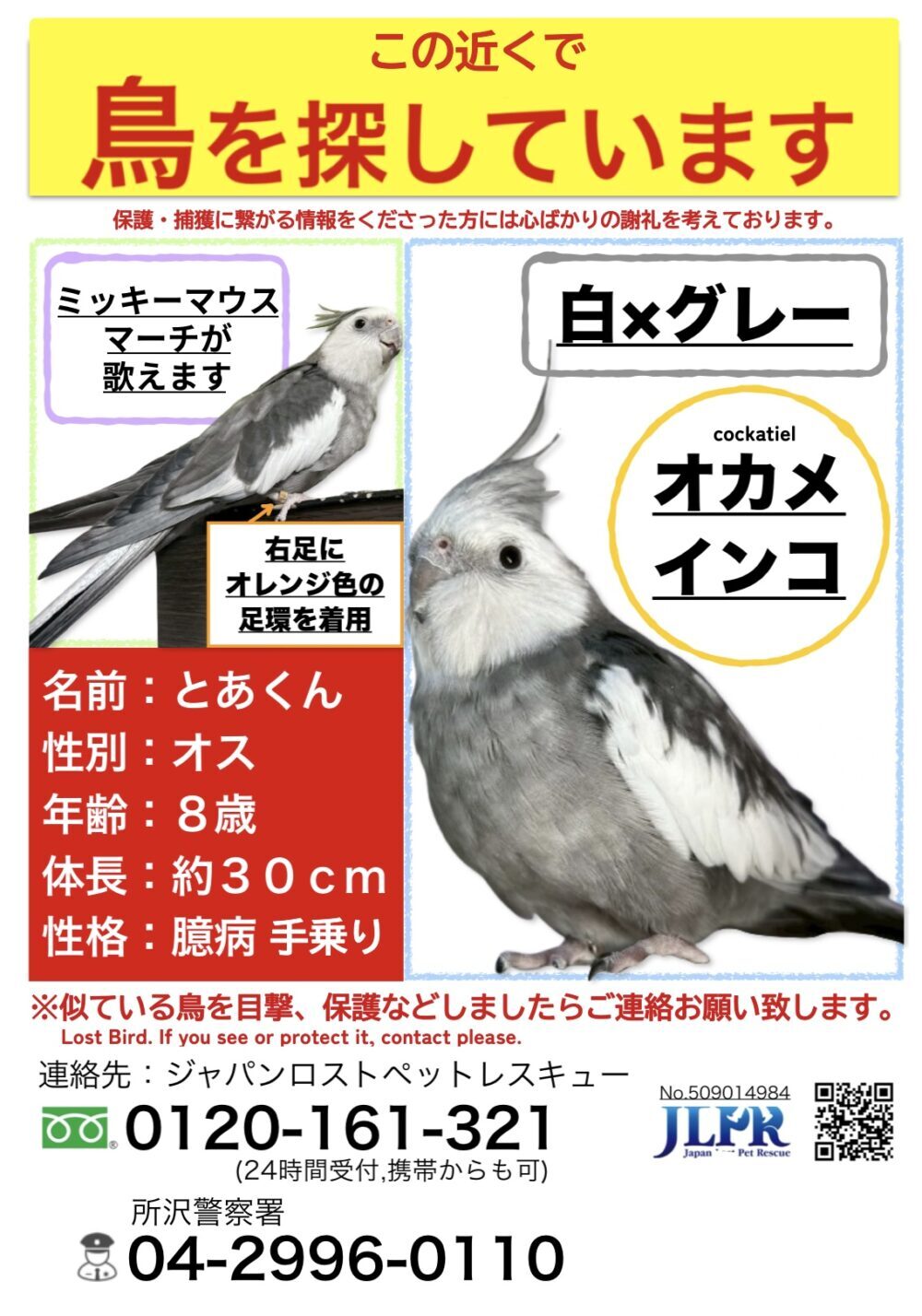 ちゅい
