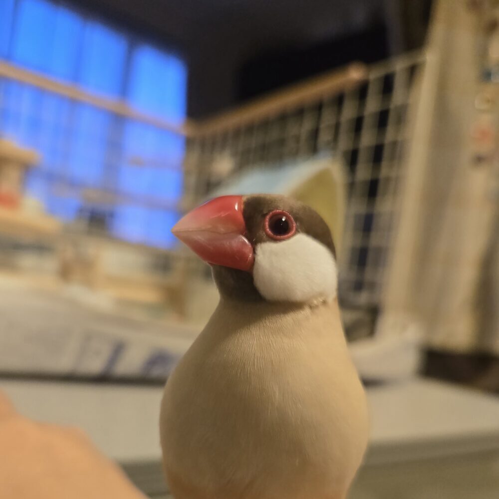 とも