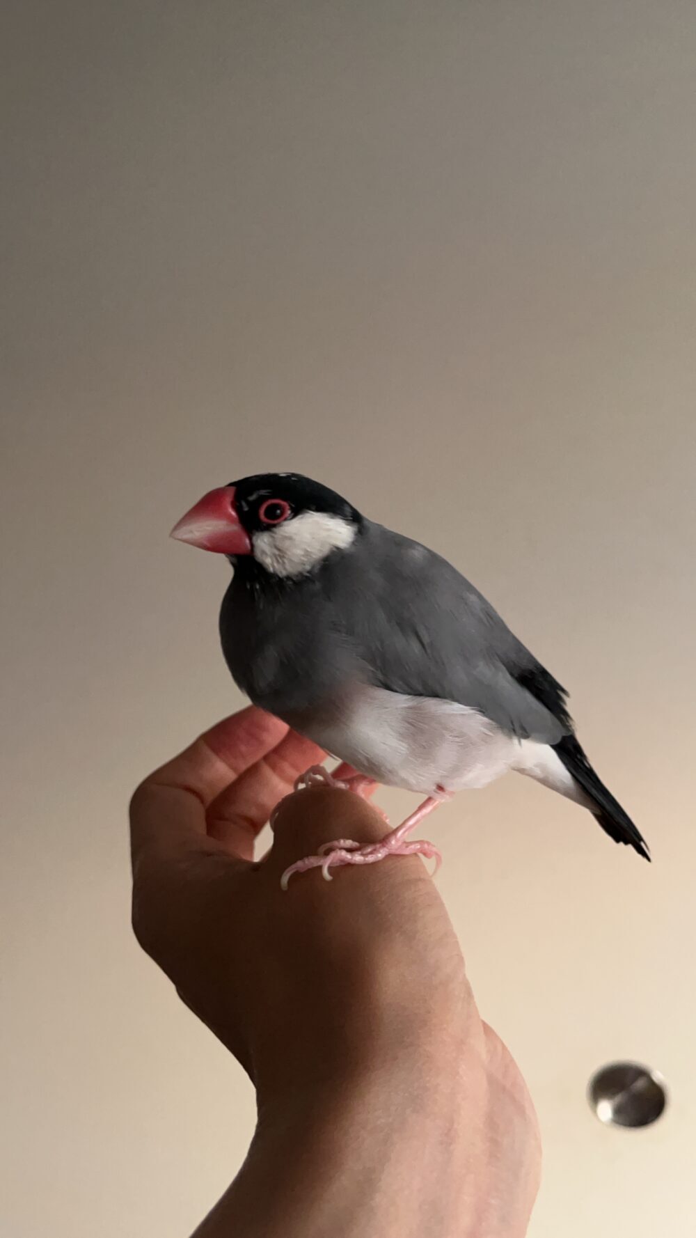 けいこ