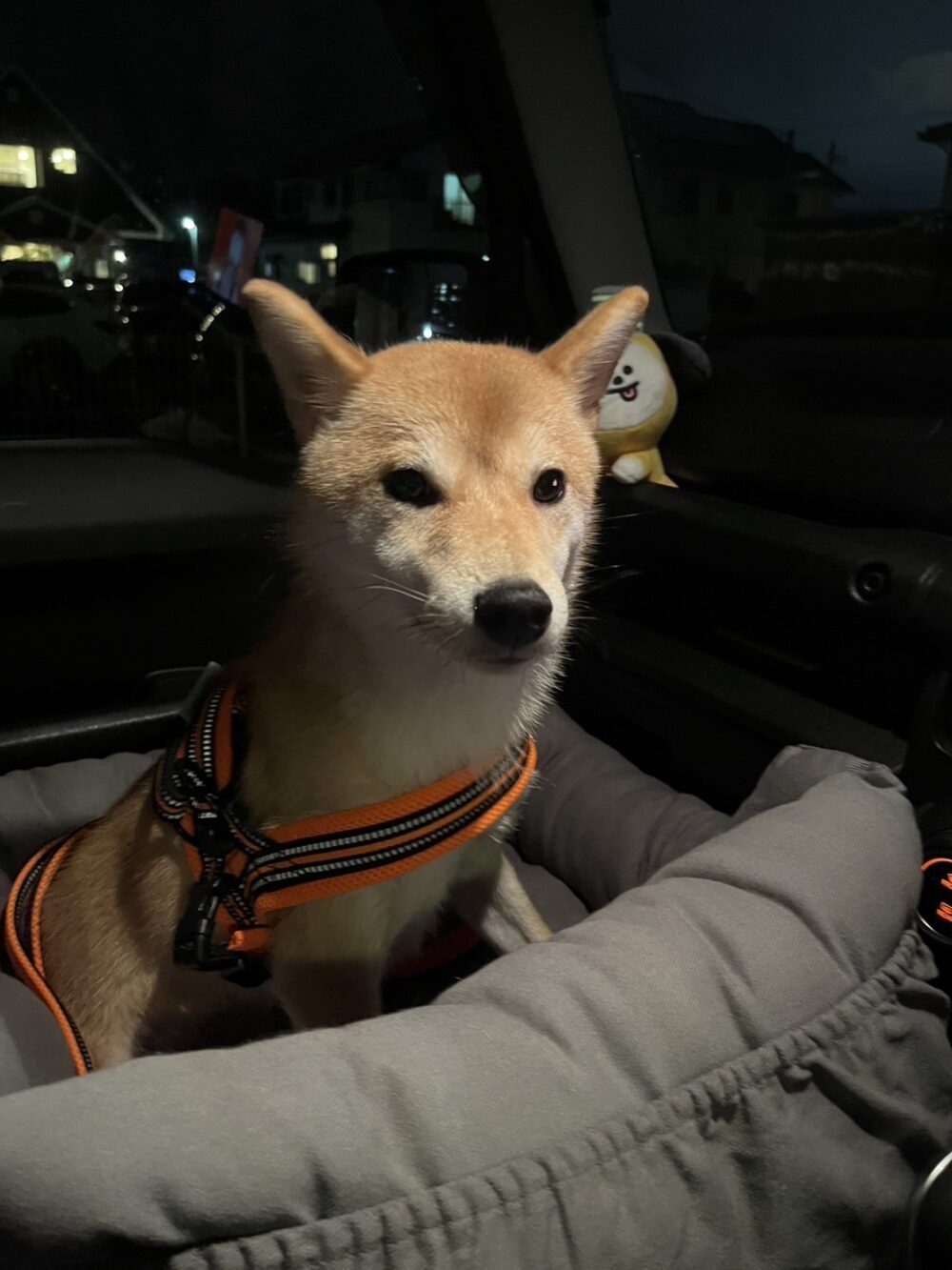 かどわき