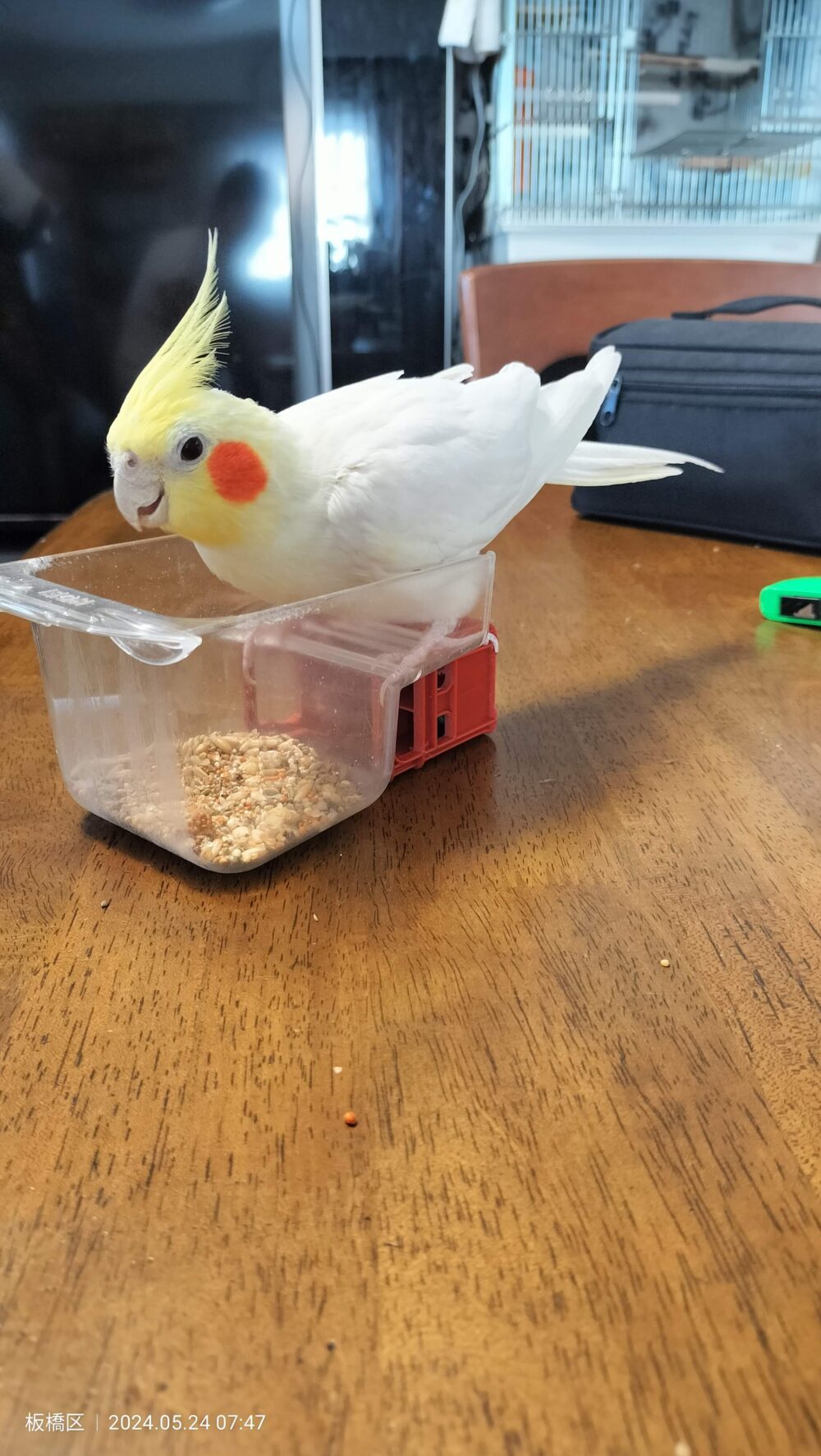ゼン