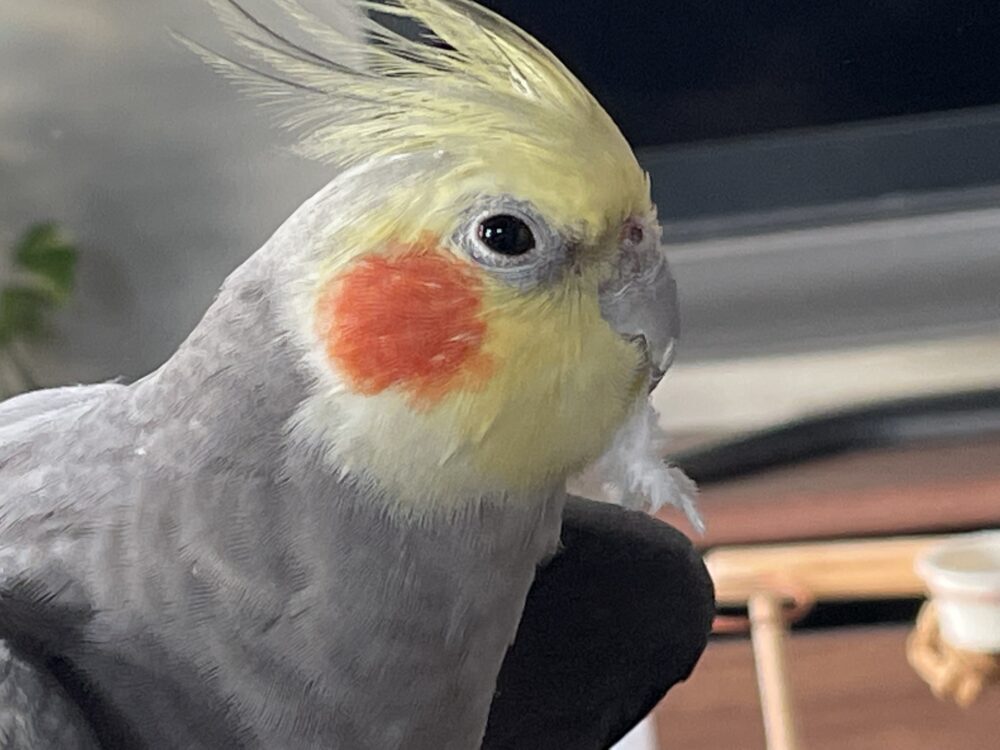 いま