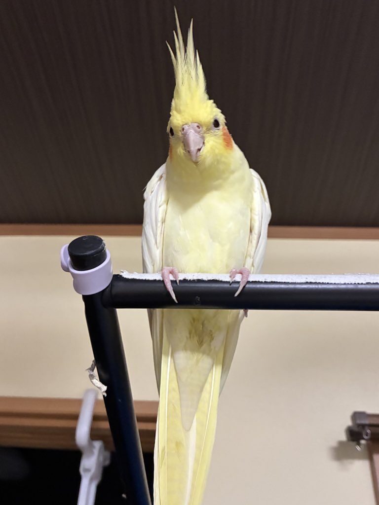 すずらん