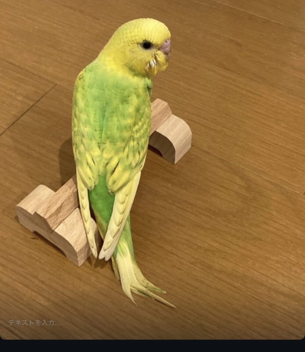 せな