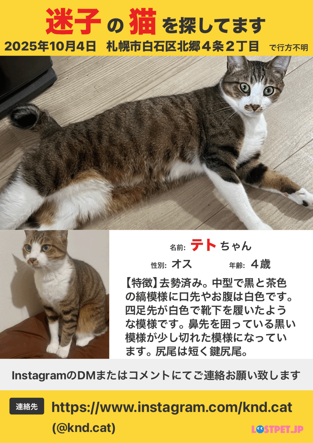 knd.cat