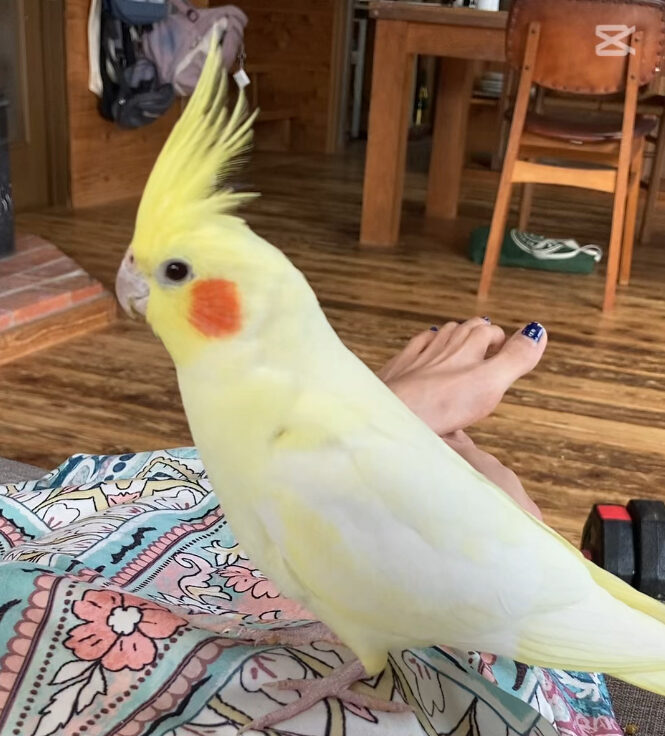 わたなべ