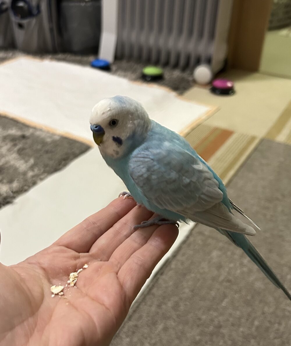 ゆうきん