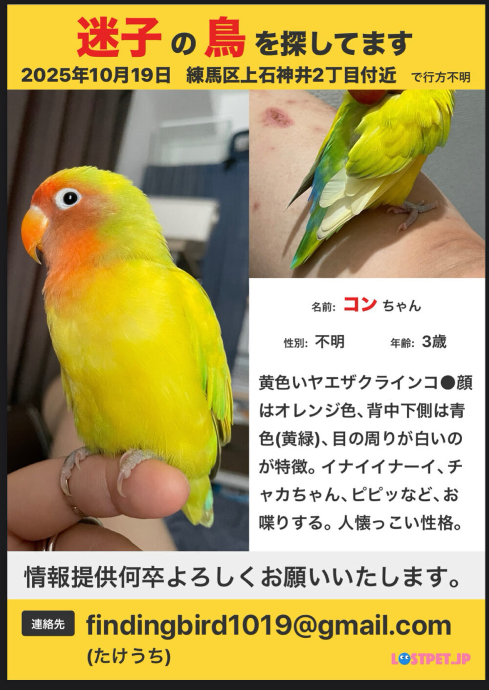 たけちょ