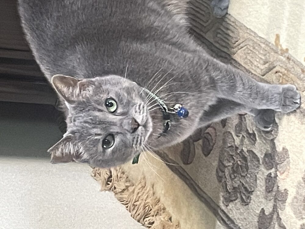 まる・むっちー