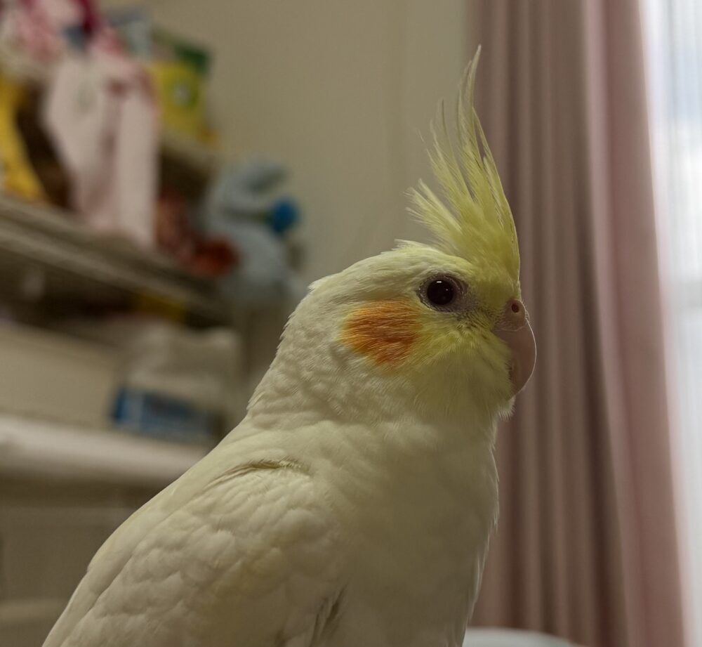 さんかくしかく