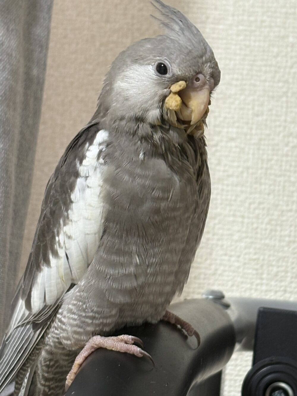 ピコちゃんママ