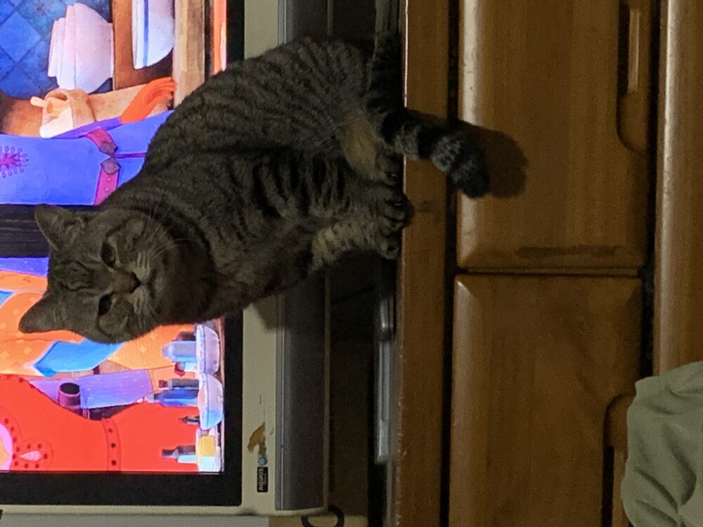 ムーちゃんの姉