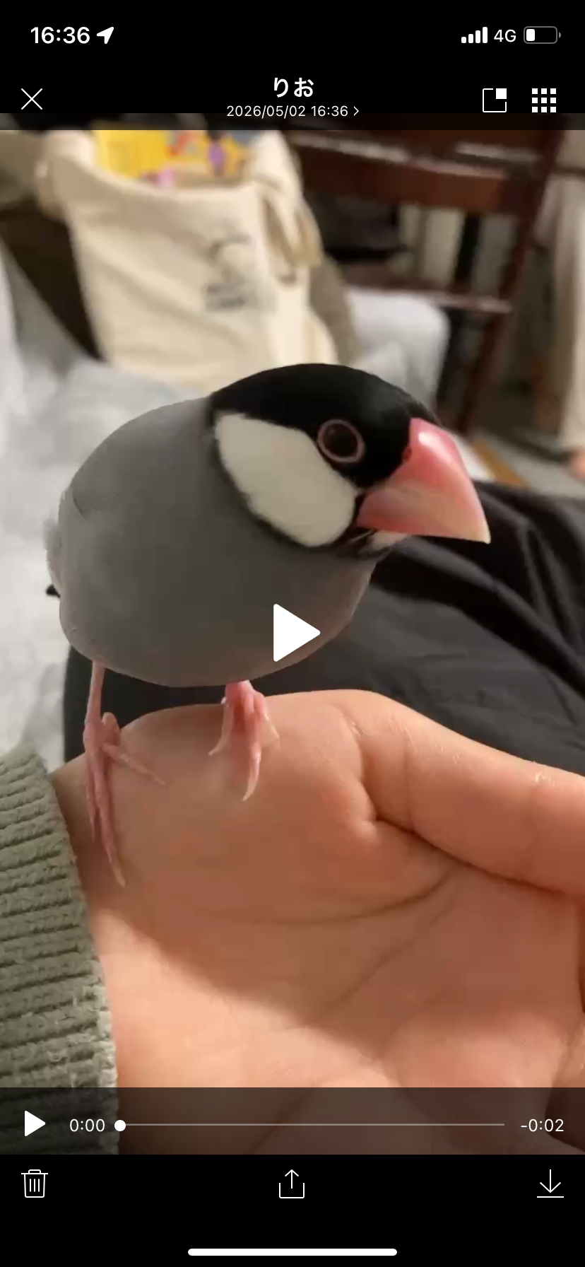 　こだまり